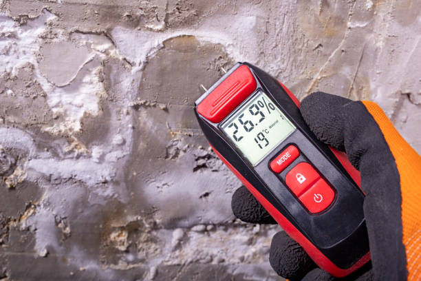 Best Mold Testing  in Richmond, KY