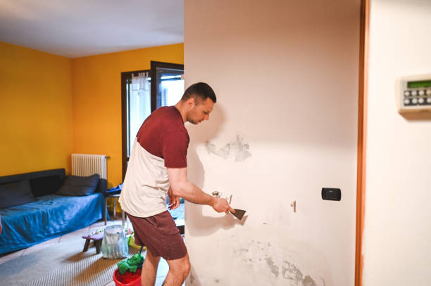 Best Black Mold Removal  in Richmond, KY